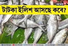 রূপালী টাটকা ইলিশ আসছে 'কবে' বাজারে? দাম কত হবে? বর্ষা আসতেই শুরু 'ইলিশমঙ্গল'