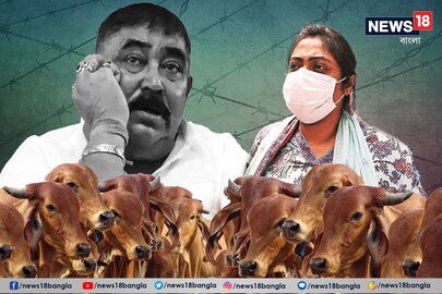 অনুব্রত-কন্যা সুকন্যা মণ্ডলের জামিনের আবেদন খারিজ