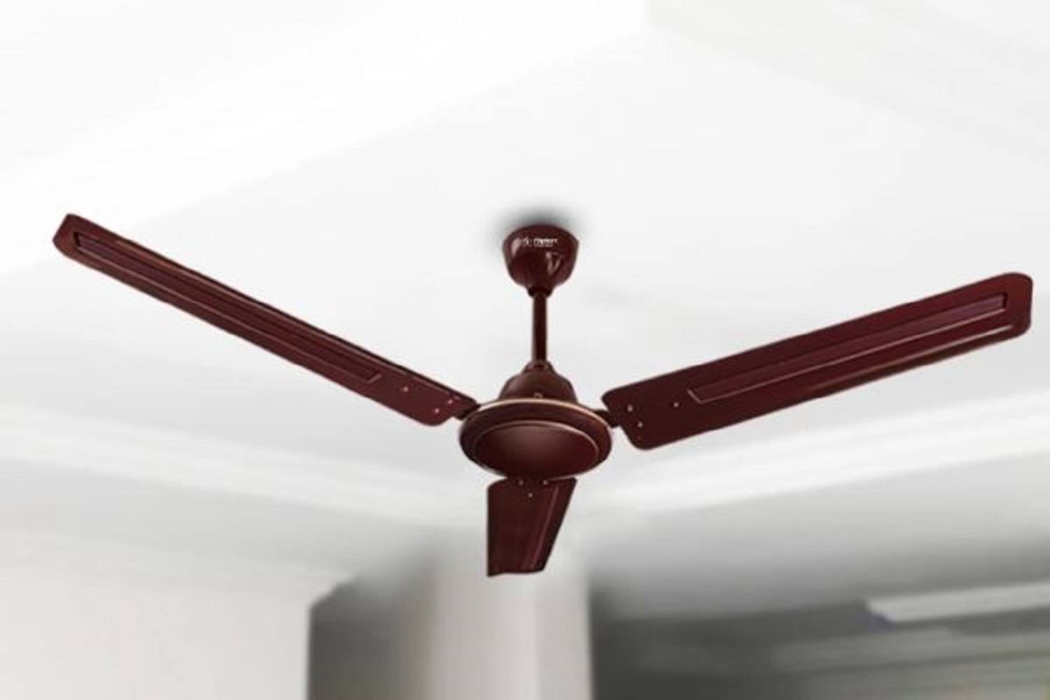 Ceiling Fan Guide: সব ঘরে একই রকম পাখা লাগিয়েছেন! বাড়ছে বিদ্যুতের বিল! কত বড় ভুল করছেন জানুন