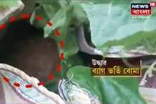 অশান্ত ক্যানিং! ফের বাসন্তীতে উদ্ধার ব্যাগ ভর্তি বোমা, তদন্তে পুলিশ, রইল ভিডিও
