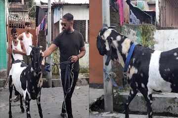 বাবু