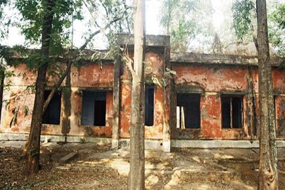 এ কী মিলল (ফাইল ছবি)