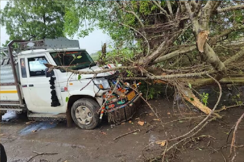 শেষ পাওয়া তথ্যানুসারে, গুজরাতের জাখাউ পোর্ট থেকে মাত্র ১২০ কিলোমিটার দূরে অবস্থান করছে বিপর্যয়। ইতিমধ্যেই সৌরাষ্ট্র এবং কচ্ছ উপকূলে লাল সতর্কতা জারি করা হয়েছে।