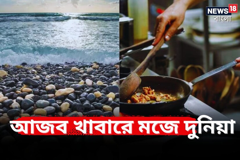 7 Strange Snacks from Around the World: বাংলায় একটি বহুল প্রচলিত প্রবাদ রয়েছে, ‘আপ রুচি খানা, পর রুচি পহন না’ - অর্থাৎ নিজের পছন্দে খাওয়াদাওয়া আর অন্যের রুচিতে পোশাক পরিধান৷  সব সময়ে হয়ত মানা হয় না তাও এটা মোটের ওপর বলাই যায় এলাকাভিত্তিক খাওয়ার একটা প্রধান প্যাটার্ন থাকে৷ সেটা মেনেই প্রধানত খাওয়াদাওয়া হয়৷ কিন্তু বিভিন্ন জায়গায় এমন সব খাবার পাওয়া যাচ্ছে যা শুনলে অবাক হবেন এমনকি ঘেন্নাও করতে পারে৷ আবার ভাবতেও পারেন ‘পাগলে কিনা বলে, ছাগলে কিনা খায়৷’  আজ আমরা আপনাকে বিশ্বের সবচেয়ে উদ্ভট ৭টি স্ন্যাকস সম্পর্কে বলতে যাচ্ছি, যা সারা বিশ্বে খাওয়া হয়।