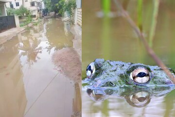জলের