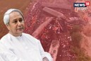 দুর্ঘটনার পর স্থানীয় মানুষের ভূমিকা কেমন ছিল? ওড়িশার মুখ্যমন্ত্রীর মরমী বার্তা
