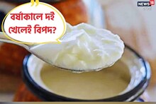 বর্ষাকালে দই খেলেই বিপদ? কী বলছেন বিশেষজ্ঞ, জানলে অবাক হবেন