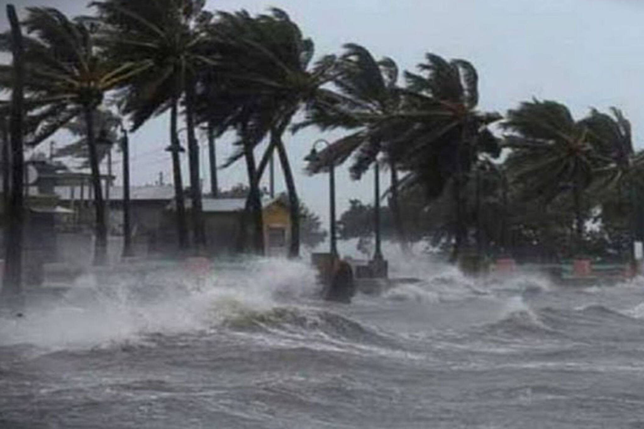 প্রবল শক্তি নিয়ে ল্যান্ডফল ঘূর্ণিঝড় বিপর্যয়ের, দেখুন ভিডিও