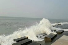 Digha News: দীঘায় সমুদ্র থেকে যা উঠল দেখে চমকে যাবেন, দাম কয়েক লক্ষ টাকা
