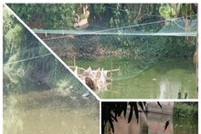 পুকুরে টাঙানো জাল মরণফাঁদ! সূক্ষ্ম নাইলন জালে আটকে প্রাণ হারাচ্ছে পাখি