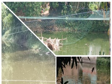 পুকুরে