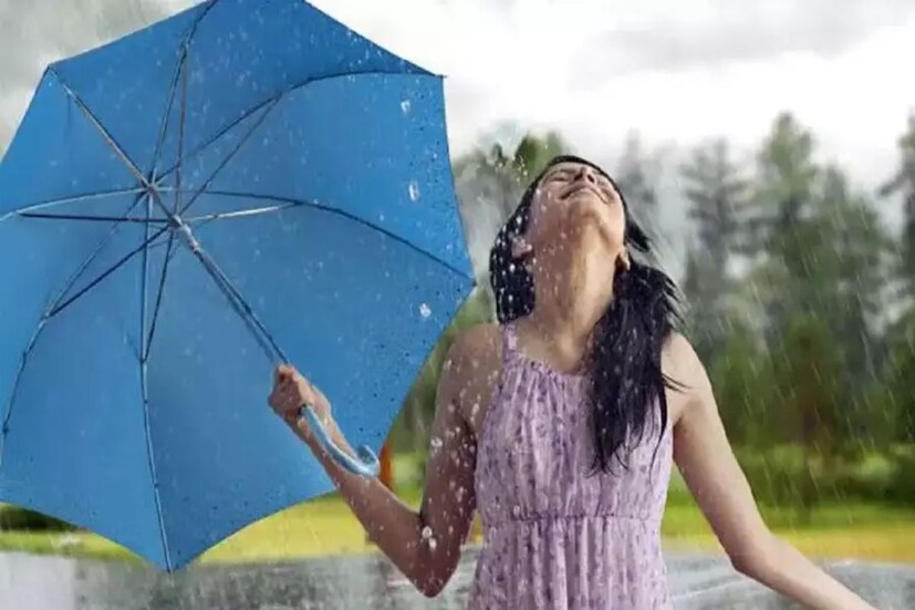 অ্যাপেল সাইডার ভিনিগার লাগাতে পারেন বৃষ্টির সময় চুলে একাধিক সমস্যা দেখা দেয়৷ ভেজা চুলের প্রাণ আনার ফিরিয়ে ভরসা রাখতে পারেন অ্যাপেল সাইডার ভিনিগারে৷ জলে মিশিয়ে নিন অ্যাপেল সাইডার ভিনিগার৷ এবার এই জলে চুল ধুয়ে নিন৷ এতে চুলে অতিরিক্ত তেল জমা হওয়ার ভয় থাকে না৷ 