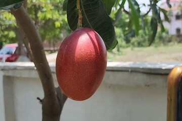 ১
