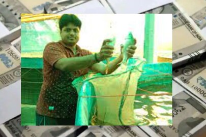 চাকরি খুইয়েও আয় ৯ লক্ষ! আলোচনার কেন্দ্রে এখন ’এই’ যুবক