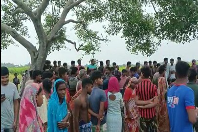 গাছে ঝুলছে ওটা কী?