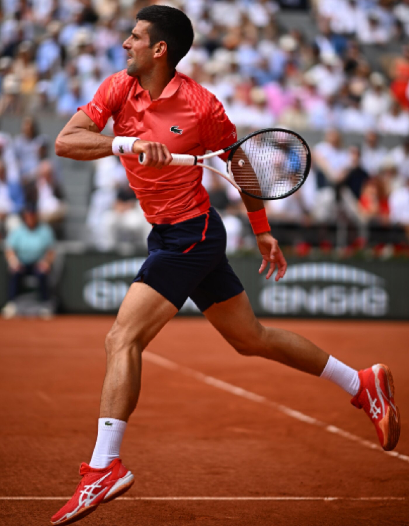 Novak Djocovic French Open 2023 Champion: লাল সুড়কির কোর্টেই নাদালের ...