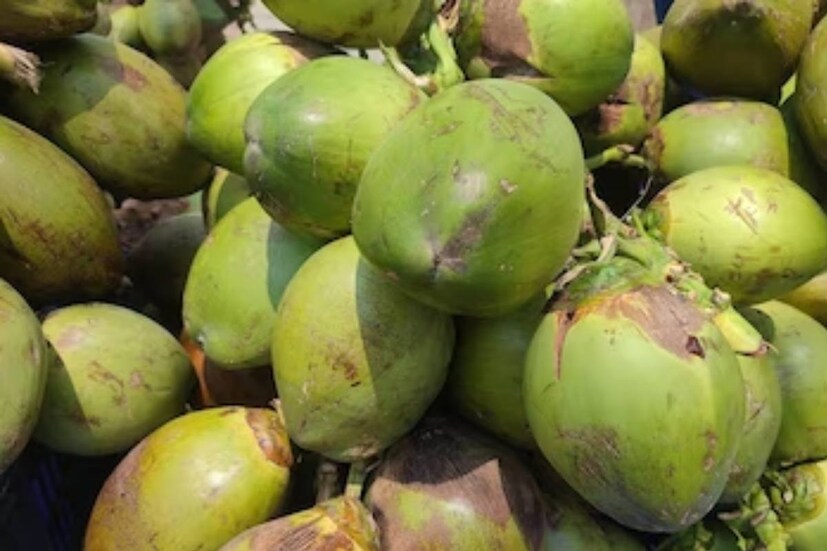 কিডনির সমস্যা, রিউম্যাটিজম, বা অন্তঃসত্ত্বা অবস্থায় ডায়াবেটিস হলে ডাবের জল পান করা ঠিক নয়৷