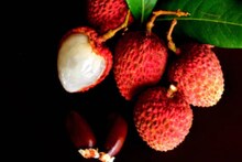 লিচুর বীজ খাওয়া শরীরের জন্য উপকারী না চরম ক্ষতিকর? জানুন বিশেষজ্ঞের মত