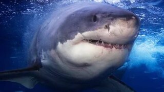 প্রতীকী ছবি