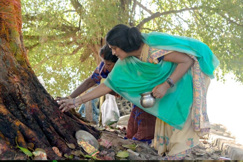 ভারতীয় সংস্কৃতিতে পুরাতনী মতে কিছু গাছকে পবিত্র বলে মনে করা হয়। বৃক্ষদেবতা হিসেবে এবং অন্যান্য বিভিন্ন পার্বণে তাদের পুজোও করা হয়।