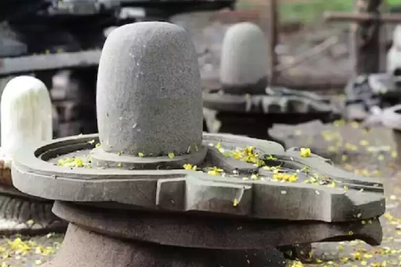 রোজ মন্দিরে যাওয়া হয়ে ওঠে না৷ ঘরের ঠাকুরঘরেই আমরা অনেকে শিবলিঙ্গের নিয়মিত পূজার্চনা করে থাকি৷ ফুল-বেলপাতা দিয়ে ভোলানাথকে সন্তুষ্ট করার চেষ্টা করি৷ কিন্তু, জানেন কি, বাড়িতে শিবের পুজো করলে কয়েকটি বিশেষ বিষয়ে নজর রাখতে হয়, নাহলেই হয়ে যায় হিতে বিপরীত৷ আসুন জেনে নিই, শিবের পুজোয় কখনওই করা যাবে যে সমস্ত ভুল কাজ৷