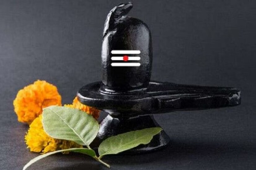 তুলসী পাতা অর্পণ নয়: শিবলিঙ্গে কোনওদিন তুলসী পাতা নিবেদন করবেন না৷ শিবলিঙ্গে সবসময় বেলপাতা অর্পণ করুন৷ সঙ্গে শিবলিঙ্গে জল অর্পণ করার পরে চন্দনের তিলক লাগান৷