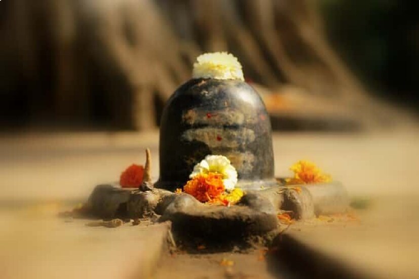 হলুদ নয়: শিবকে ভুল করেও হলুদ নিবেদন করবেন না৷ হলুদ দিয়ে তিলকও আঁকবেন না৷ সবসময় চন্দনের তিলক আঁকবেন৷