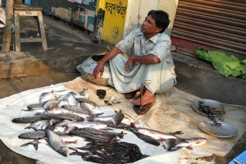 তীব্র গরমে ভাটার টান বাঙালির মৎস্যবিলাসে৷ গরমের কারণে ক্ষতির মুখে মাছের চাষ৷ তার প্রভাব পড়েছে মাছের বাজারেও৷ কলকাতার বাজারে মাছের যোগান কমে গিয়েছে অনেকটাই৷ স্থানীয় যোগানের পাশাপাশি বঙ্গ রসনায় মাছের যোগান অনেকাংশে নির্ভর করছে দক্ষিণী উৎসের উপর৷