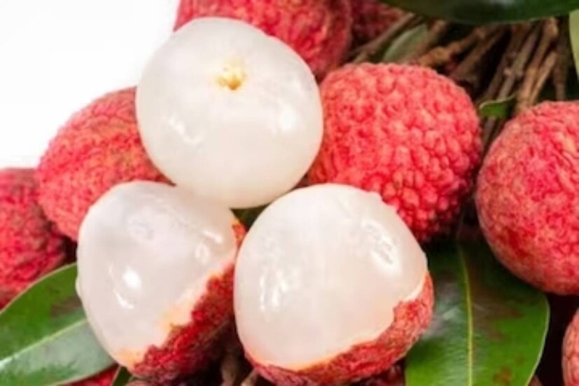 লিচুতে প্রচুর ফাইবার আছে৷ ফাইবার সমৃদ্ধ খাবার খেলে রক্তে শর্করার মাত্র দ্রুত হারে বৃদ্ধি পায় না৷ সেদিক দিয়ে মধুমেহ রোগীদের ডায়েটে লিচু পরিমিত পরিমাণে রাখা ক্ষতিকর নয়৷