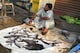 বাজারে মাছের দাম আকাশছোঁয়া, খুচরো বাজারে কবে কমবে মাছের দর? জানুন