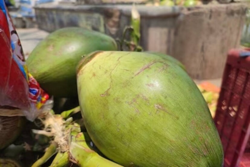 পুষ্টিবিদ অঞ্জলির মতে, যাঁদের রক্তে শর্করার মাত্রা নিয়ন্ত্রিত এবং যাঁরা কায়িক পরিশ্রম বা ওয়ার্ক আউট করেন, তাঁরা দিনে একটি ডাবের জল খেতে পারেন মালাই ছাড়া৷