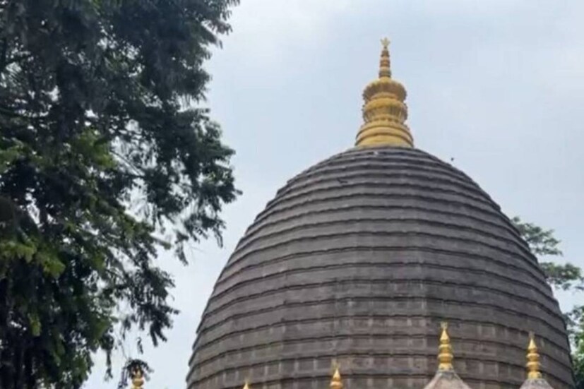 Disclaimer: এই প্রতিবেদনটি কেবলমাত্র সাধারণ তথ্যের জন্য, তাই বিস্তারিত জানতে হলে সর্বদা বিশেষজ্ঞের পরামর্শ নিন। (সব ছবি-নেটমাধ্যম)