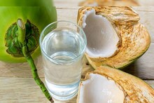 ব্লাড সুগারে কি ডাবের জল পান করা যায়? জানুন বিশেষজ্ঞের মত