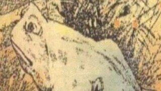 ব্যাঙের ছবিতে লুকিয়ে ঘোড়া; কেবল ১ শতাংশ মানুষই সমাধান করতে পেরেছেন এই ধাঁধা! এক বার নিয়ে দেখবেন না কি চ্যালেঞ্জটা?