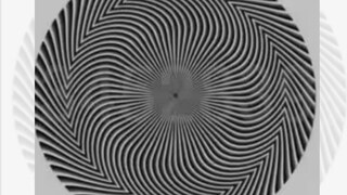 সাদা-কালো বৃত্তের মাঝেই উঁকি দিচ্ছে ম্যাজিক সংখ্যা? স্ক্রল করলেই মজা! পাল্টে যাবে সংখ্যাটা