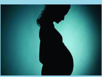 মাঠে কাজ করার সময় সাপের কামড়ে মৃত প্রেগন্যান্ট মহিলা Photo- Representative 