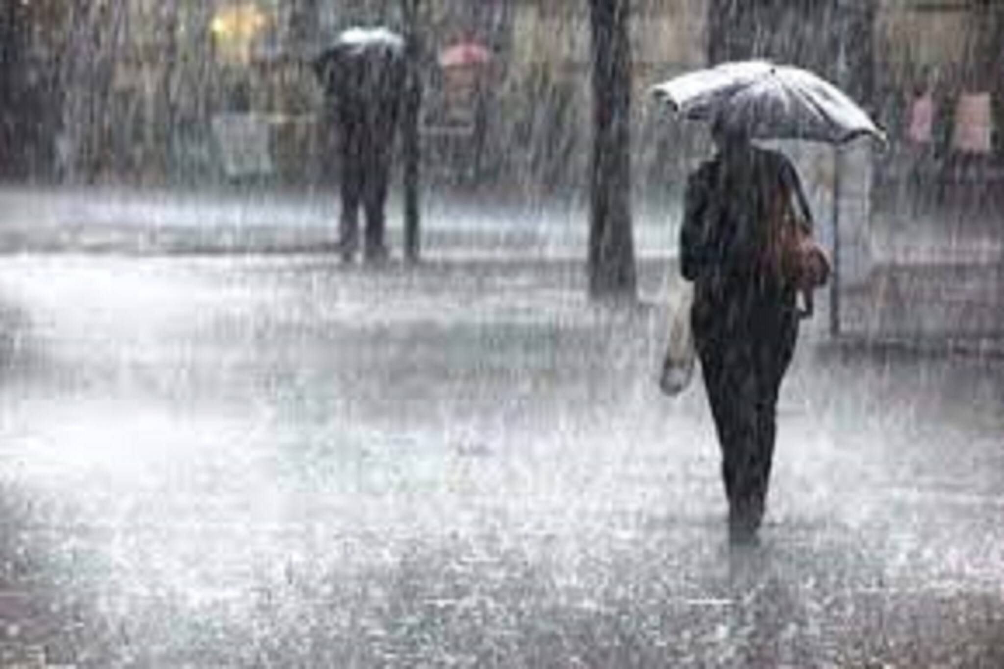 Jalpaiguri News: রাতভর বৃষ্টিতে জলমগ্ন জলপাইগুড়ি একাধিক এলাকা! ভোগান্তি সাধারণ মানুষের
