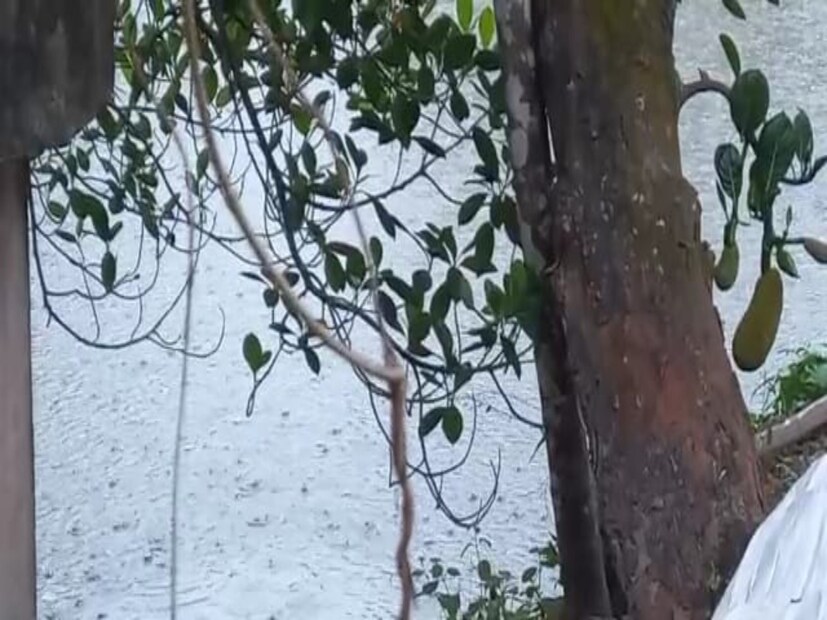 *বুধবার বিকেলের দিক থেকে পুরুলিয়া জেলার বেশ কিছু জায়গায় বিক্ষিপ্তভাবে বৃষ্টি হলেও তীব্র গরমের দাপট থেকে রেহাই পায়নি জেলার মানুষেরা। এই মুহূর্তেই বর্ষার প্রবেশ ঘটছে না দক্ষিণবঙ্গে। ফলত পুরুলিয়ার মানুষেরাও স্বস্তি পাচ্ছে না এই মুহূর্তে। ফাইল ছবি। 