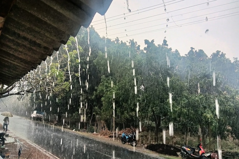 মালদহ:  দিনভর মেঘলা আকাশ,  এক থেকে দু'বার বজ্রবিদ্যুৎ সহ বৃষ্টির সম্ভাবনা। চলতি সপ্তাহ থেকেই বর্ষা শুরুর সম্ভবনা। প্রচণ্ড গরমের দাবদাহ থেকে স্বস্তি মিলবে এবার। সপ্তাহের প্রথম দিন মালদহ জেলা জুড়ে বজ্রবিদ্যুৎ সহ ব্যাপক বৃষ্টির সম্ভাবনা।