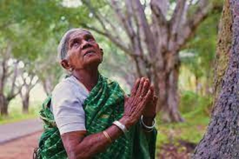 দিন মজুরি করেই কাটত দিন ৷ বিয়ের পরে সন্তান না হওয়ার কারণেই গাছকেই সন্তান রূপে মেনে নিয়েছিলেন সালুমারাদা ৷ ফাইল ছবি ৷