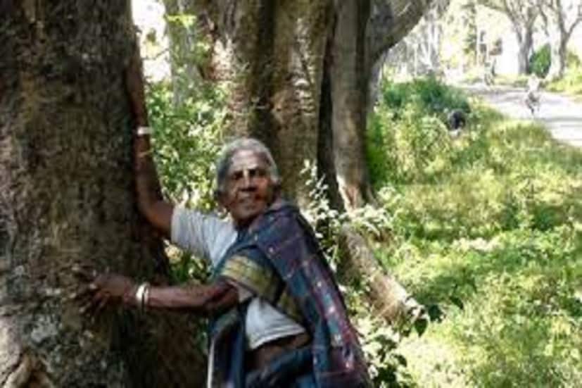 আজ তিনি দেশের মুখ উজ্জ্বল করেছেন গাছের প্রতি ভালবাসাতেই আজ প্রতিটি ভারতীয় কাছেই প্রিয় আম্মা বা মা ৷ ফাইল ছবি ৷