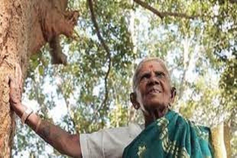 স্বামীর সঙ্গে উপলব্দি করেছিলেন তাঁদের গ্রামে বেশ কয়েকটি গাছ থাকলেও পাশের গ্রামে একটি গাছও নেই ৷ সেখান থেকেই প্রতি পাঁচ কিলোমিটার পরপর একটি করে বটবৃক্ষ রোপন করতে থাকেন ৷ ফাইল ছবি ৷