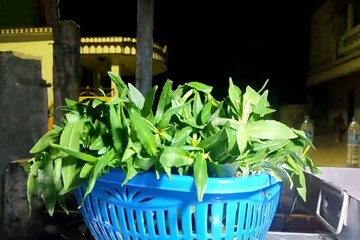 মাত্র