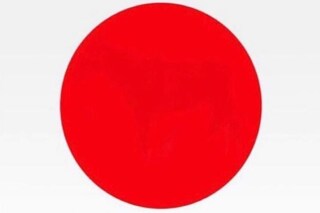 ভাইরাল অপটিকাল ইলিউশান