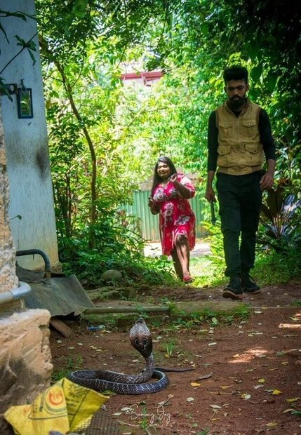 সামাজিক মাধ্যমে সেই ছবি রীতিমতো সাড়া ফেলে দিয়েছে। ছবি সৌজন্যে- ট্যুইটার