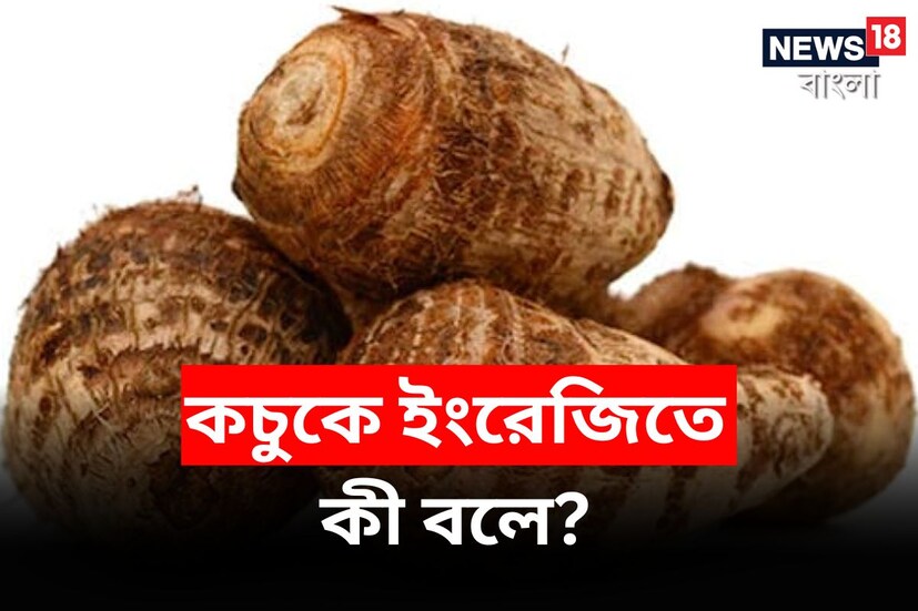 আলু, বেগুন, পেঁয়াজের মতো সবজিগুলির ইংরেজি নাম জানা থাকলেও কচুর ক্ষেত্রে বিষয়টা তেমন নয় মোটেই। কচুকে ইংরেজিতে বলে 'টারো' (Taro)। ভারতের নানা রাজ্যে এটিকে আলাদা নামে ডাকা হয়।