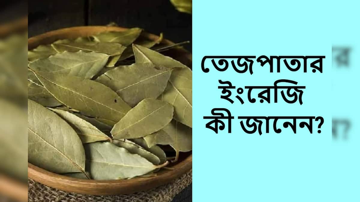 Knowledge Story তেজপাতার ইংরেজি কি জানেন? ভাল করে ভেবে দেখুন, ৭৫