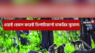 পশুপাখি ভালবাসেন? তাহলে আবেদন করুন ফরেস্ট ডিপার্টমেন্টের
অধীনে বিভিন্ন শূন্যপদে 
