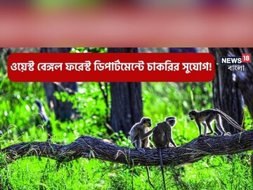 পশুপাখি ভালবাসেন? তাহলে আবেদন করুন ফরেস্ট ডিপার্টমেন্টের
অধীনে বিভিন্ন শূন্যপদে 
