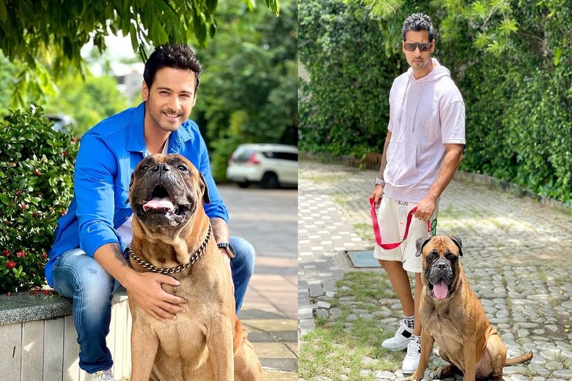 *নুসরতের পোস্টের বাংলা তর্জমা করলে দাঁড়ায়, &quot;স্নেহের পুত্র হ্যাপির স্মৃতিতে… আমাদের বাড়িতে কারও না থাকা এখন দিনরাত অনুভব করি।  জানি সময়টা শক্ত, কাটিয়ে উঠতে অনেক শক্তি লাগবে। আমাদের একটা টুকরো তোমার সঙ্গে চলে গিয়েছে। তুমি আমাদের জীবনে পরিপূর্ণতা এবং ভালবাসা এনে দিয়েছিলে। সবসময়ের সঙ্গী ছিলে… নীরবে, সবসময় কাছে থেকো। ভালবাসি, সবসময় মিস করি তোমাকে। পরপারে তোমার সঙ্গে দেখা হওয়ার অপেক্ষায় থাকবে মা-বাবা। তোমাকে অনেকটা ভালবাসি।&quot; ছবি সৌজন্যেঃ ইনস্টাগ্রাম। 